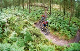 Mountain biking on the Leith Hill trails