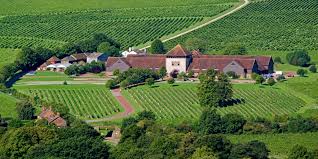 Denbies Wine Estate, Dorking