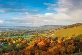 The Surrey Hills in autumn
