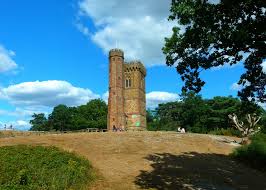 Leith Hill Tower, four miles away